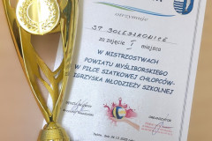  Mistrzostwa Powiatu Myśliborskiego w Piłce Siatkowej Chłopców 