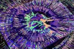 494452350_1269530618043129_5804040612523888599_n
