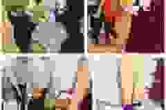 407375771_895426615453533_3807534287477402860_n