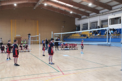 obraz_viber_2025-11-27_20-28-05-948