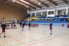 obraz_viber_2025-11-27_20-36-00-394