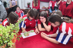 IMG_20240412_094105