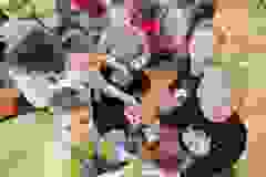 407783558_898578078471720_6759025974394990369_n