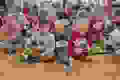 407788755_898578238471704_5408735163513644730_n