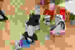 407806854_898578151805046_392752541379977168_n