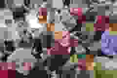 408752849_898578285138366_5205652296348624214_n