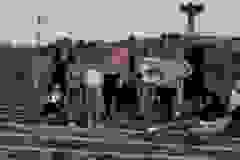 447654629_1016476403348553_7197354538783605847_n