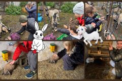 557640929_1394463645549825_1932091114281737812_n